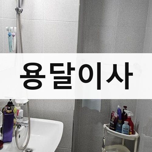 전북·광주 용달이사 포장이사