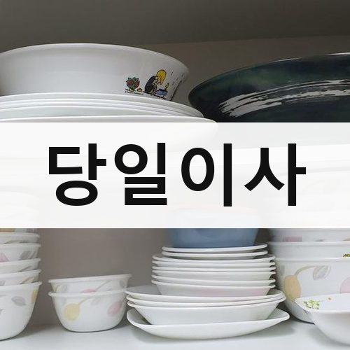 익산군 당일이사 포장이사